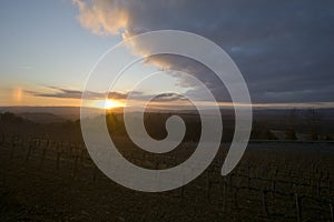 Italy, Tuscany, countryside panorama near Pienza, Siena at the sunset photo