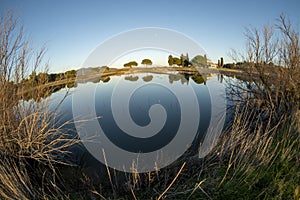 Italy Tuscany Grosseto Castiglione della pescaia, maremma, along the river Bruna Diaccia Botrona, marsh pond with reflection of