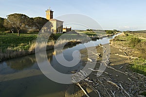 Italy, Tuscany, Grosseto, Maremma, Marina di Alberese, Natural Park of Maremma photo