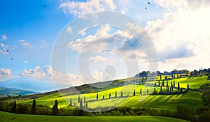 Italy; tuscany landscape; hillside road, cypresses and fields photo