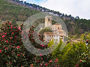 Italy, Tuscany, Lucca district, the village of Pieve di Compito. photo