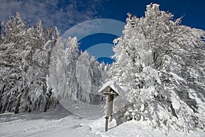 Italy, Tuscany, National Park of the Casentino Forests, Mount Fa