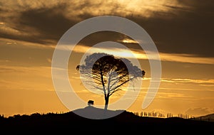 Italy. Tuscany. Rural landscape at dawn