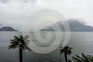 Italy, Varenna, Lake Como, a tree next to a body of water with a mountain in the background