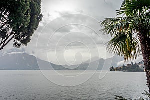 Italy, Varenna, Lake Como, a tree next to a body of water surrounded by palm trees