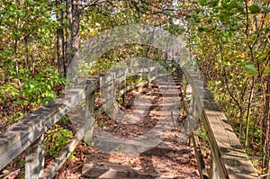 Itasca State Park contains the Headwaters of the Mississippi Riv