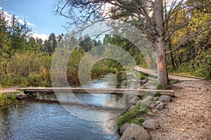 Itasca State Park contains the Headwaters of the Mississippi Riv