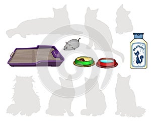 Items for cats. Tray. Shampoo. Bowl of food, water, mechanical clockwork mouse.