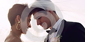 Its amazing how much happiness one person can give you. an affectionate young newlywed couple sharing an intimate moment