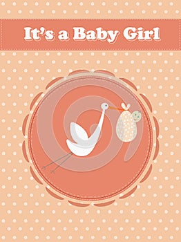 Its a Baby Girl, stork with a baby