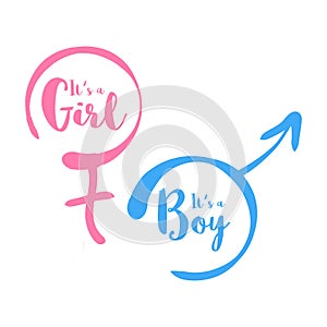 Its a boy or girl - baby shower invitation template. Calligraphic text in the hand-drawn female and male gender sign