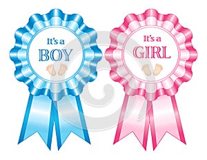 Its a boy and girl rosettes