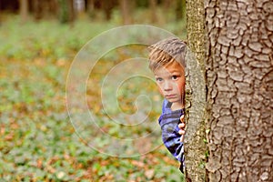 Its a little scary. Little boy hide behind tree. Small boy in scary forest. Little child play scary games. I like being