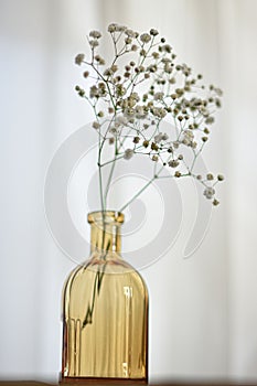 a glass bottle of flower photo