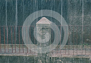 Its raining in the yard today