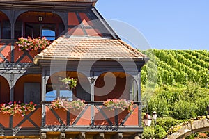 Itterswiller (Alsace) - House and vineyard