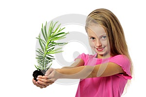 Ittle girl with sprout plant