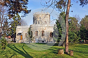 Iulia hasdeu castle near bucharest photo