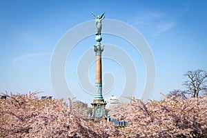 Ivar Huitfeldt Column, Copenhagen photo