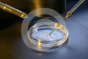 Laboratorio microscopio 