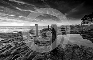 Ivo Rowe Rockpool Coogee Australia