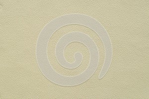 Ivory Artificial artificial leather with large texture.