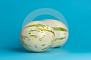 Ivory gaya melon on a blue background