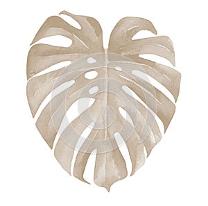 Ivory pastel monstera leaf. Heart shaped leaf. Pale tropical leaves. Neutral design for a invitation, greeting, card