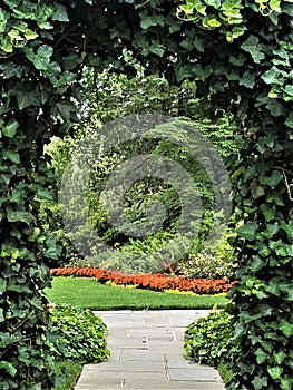 Ivy Arch Over Garden Path