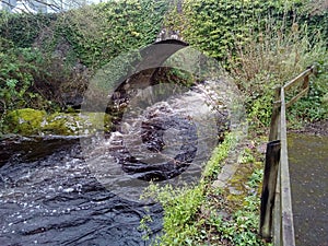 The Ivy Bridge over River Erme