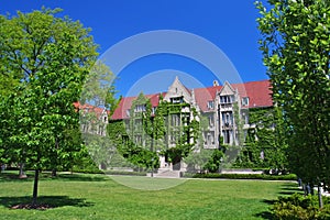 Ivy clad halls at University of Chicago