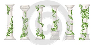 Ivy columns. Marble pillars or ancient stone column with floral vines, green leaf for wedding decoration greek building
