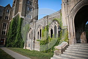Ivy at Cornell University