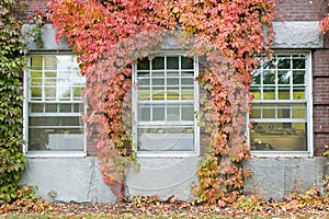 Ivy covered building on the campus of Dartmouth College in Hanover, New Hampshire