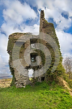 Ivy covered castle