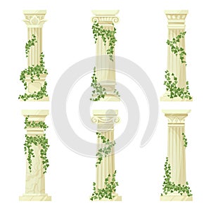 Ivy-covered classic columns vector set. Cartoon greek antique roman pillars with climbing ivy branches isolated flat vector