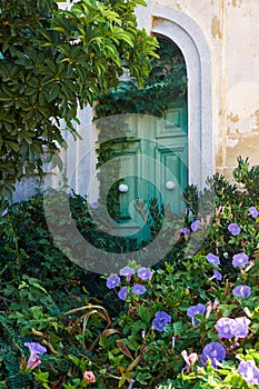 Ivy-covered green door in the wall of old house. Malta