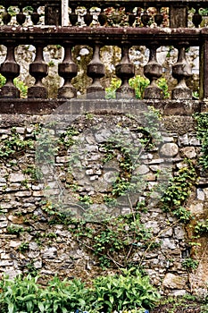 Ivy-covered stone terrace with balustrade. Villa Monastero, Como, Italy