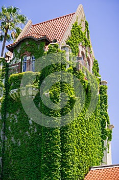 Ivy covered tower at the San Jose State University; San Jose, California