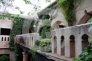 Ivy-Covered Villa
