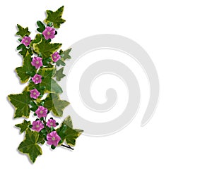 Ivy Floral design border element photo
