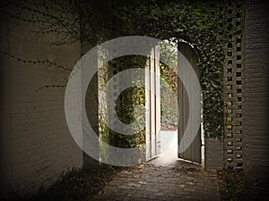 Ivy gateway