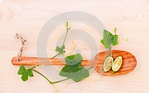 The ivy gourd, also known as baby watermelon, little gourd, gent