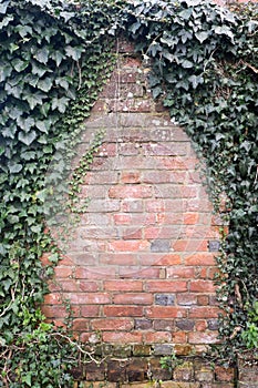 Ivy growing on an old brick wall with copy space - portrait/vertical