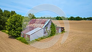 Ivy growing on old wooden barn with rusty metal roof and empty dirt farmland aerial