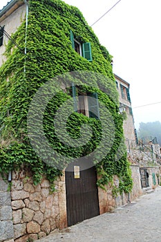 Ivy on house in narrow street in Valldemossa, West Coast, Mallorca