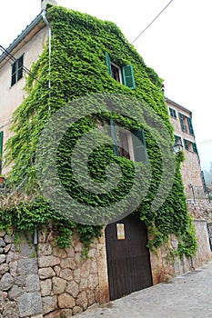 Ivy on house in narrow street in Valldemossa, West Coast, Mallorca