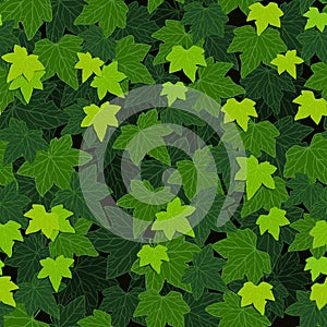 Ivy leaf green foliage wall seamless pattern background