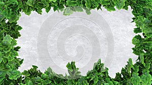 ivy leaves frame border green vegetation on concrete background with foliage 3D illustration