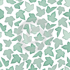 Ivy leaves seamless pattern. Green foliage texture with leaves and climbing branches on white background. Natural plant